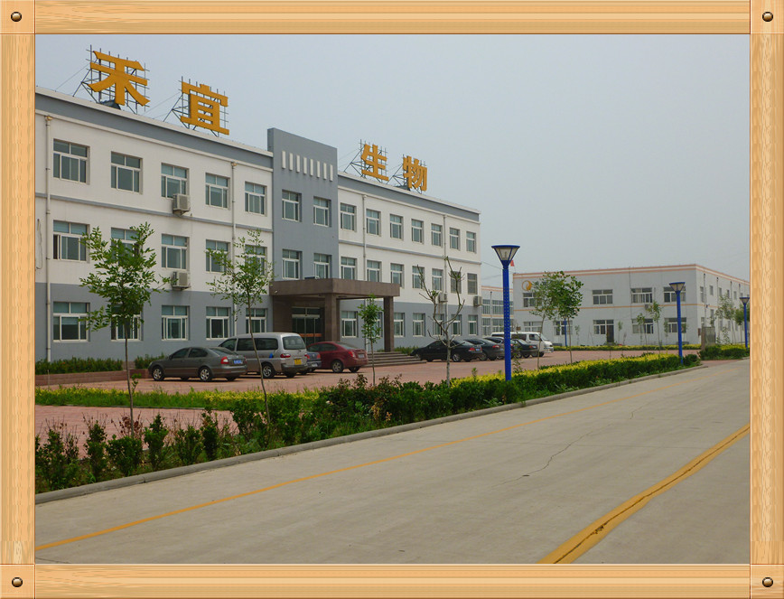 จีน Weifang Heyi Agrochemical Co.,Ltd รายละเอียด บริษัท