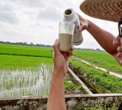 Validamycin A 20% SP Rice Blast Control ยาฆ่าเชื้อราทางการเกษตร
