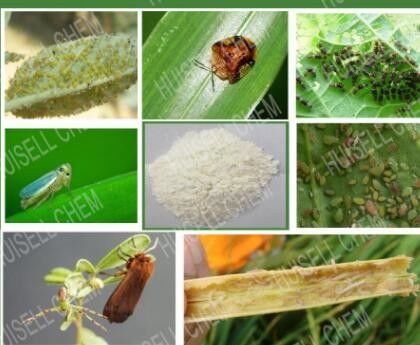 CAS 153719-23-4 Thiamethoxam 3% WG Thiamethoxam ยาฆ่าแมลงเม็ดยาฆ่าแมลง