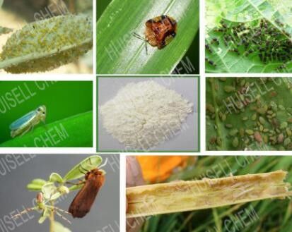 Thiamethoxam Granules 3% GR ยาฆ่าแมลงทางการเกษตร Cas No 153719-23-4